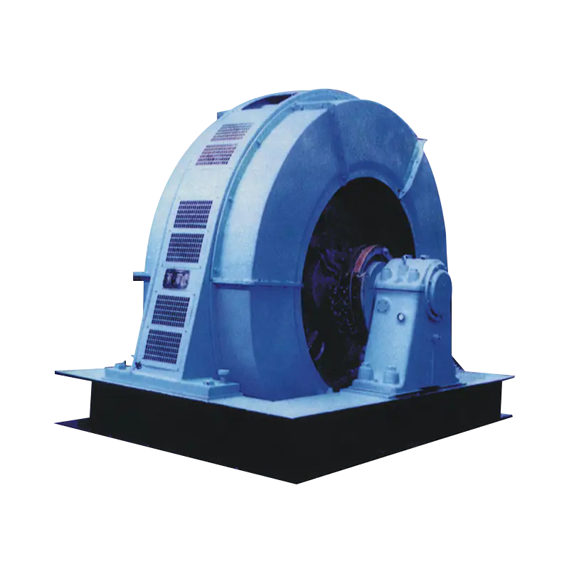 T series three-Phase Synchronous Induction Motor